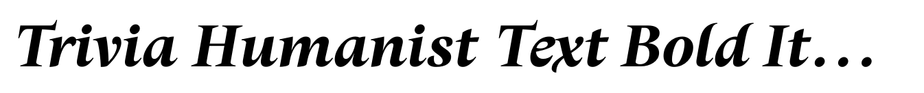 Trivia Humanist Text Bold Italic